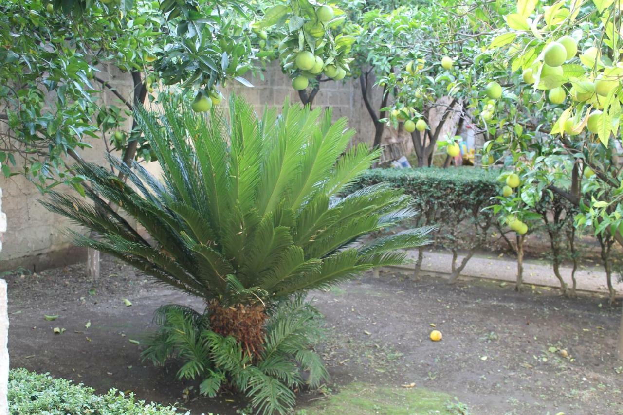 شقة La Lanciolla Maddaloni المظهر الخارجي الصورة